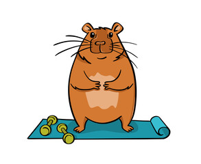 A cute capybara does yoga on a mat. Vector illustration flat style