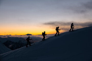 Silhouettes of four skiers with poles reached the highest point after sunset
