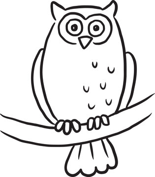 owl cartoon cute lines