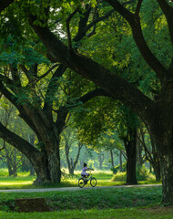 A blurred child riding bike in green forest.