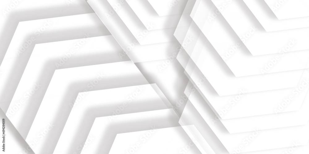 Poster abstract white and grey geometric hexagon background with shadow. science technologic hexagonal patt
