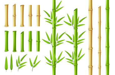 Bamboo stems and leaves. Zen garden verdant bamboo stick with 3D green leaf isolated vector illustration set