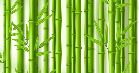 Bamboo background. Lush bamboo zen grove, natural green stems wall with leaves vector illustration backdrop