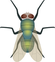 vector of a green fly