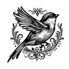 Hand drawn, minimal, line art, retro style illustration of Sparrow
