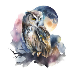 watercolor celestial pastel owl