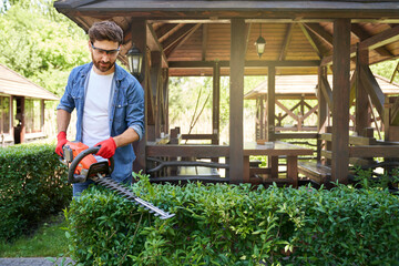 Hard working male gardener in casual outfit shaping boxwood hedge with trimmer outdoors. Front view...