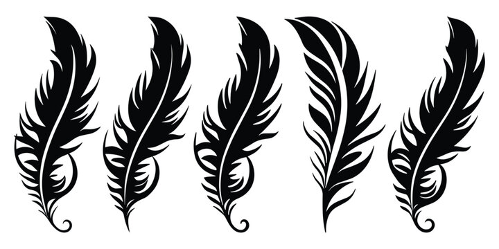 Bird Feather black silhouettes. Plumelet collection. Vector isolated on white