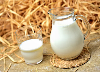 Healthy fresh cow's milk in a transparent glass and a glass jug. Dry straw and hay as decoration in the background