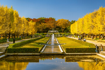 昭和記念公園