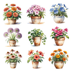 Collection of flowers in ceramic pot on white background, watercolor painting style, generative ai