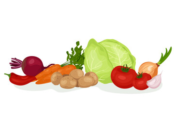 Fresh healthy vegetables banner. Vegetables ingredients for cooking borsch. Ukrainian red soup. Potatoes, beetroot, onion, carrot and cabbage, garlic. Flat vector on white background.