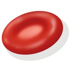 Blood red blood cells or erythrocytes  With white blood cells or leukocytes.