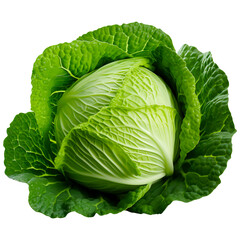 Fototapeta premium cabbage on a transparent background