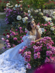 princess in a white dress in the garden of roses. evening photo