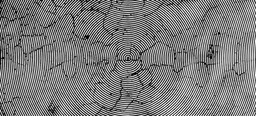 a black and white vector of a spiral pattern, fingerprint effect, grunge, overlay, grungy, spray, grunge background, noise, broken, dark, effect, splashing, black and white, vintage, dirty