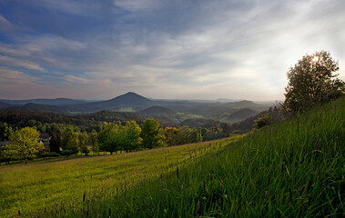 Fototapeta premium A view of a mountain meadow on which the sun shines