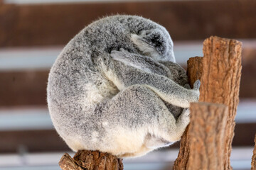 Taken in Queensland, Australia