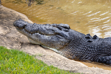 Taken in Queensland, Australia