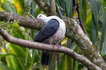 Taken in Queensland, Australia