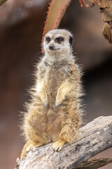 Taken in Queensland, Australia