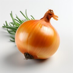 yellow onion isolated on white background close up