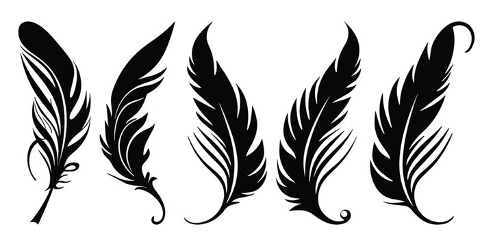 Bird Feather black silhouettes. Plumelet collection. Vector isolated on white