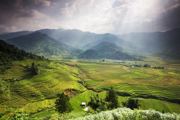 Foto auf Acrylglas Mu Cang Chai Mu Cang Chai’s sheer rice terraces were sculpted over centuries of small-scale cultivation. Each season brings its own charm.