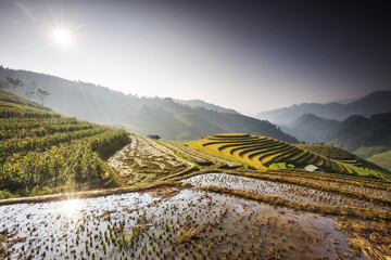 Mu Cang Chai’s sheer rice terraces were sculpted over centuries of small-scale cultivation. Each...