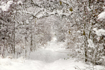 Peaceful snowy landscape and a path so long