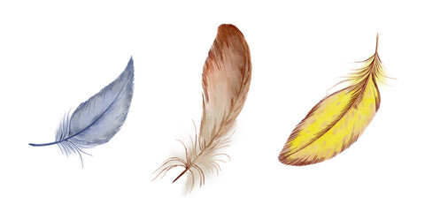Set feather made in digital watercolor.Isolated on white.Looks good in an Easter theme, boho style.Design for T-shirt, invitation, wedding card. - obrazy, fototapety, plakaty