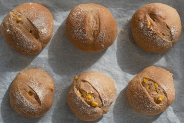 手作りコーンパン、焼きたて、全粒粉、６つ、整列