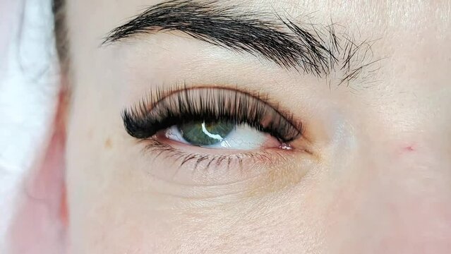 Close up of eye with eyelash extensions ,beauty salon treatment ,2d volume, 3d volume, classical lashes,Russian volume,megavolume, new set.