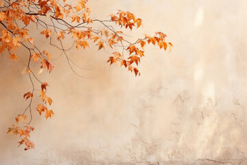 autumn leaves background