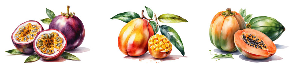 A collection of watercolor mango, passion fruit and papaya in PNG format or on a transparent background. Decorations and watercolor-painted design elements for a project, banner, postcard, business.