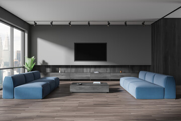 Gray living room interior with TV and sofas