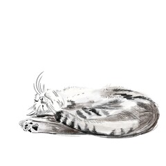 very cute cat sleeping