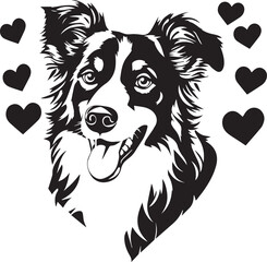black and white Australian Shepherd dog with hearts