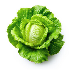 Fresh cabbage Vegetables on a White Background generated by AI