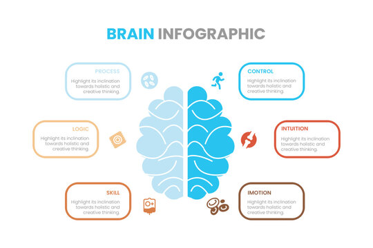 Road & Street Business Infographic Brain Shape Design Template