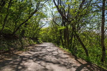 The slope of mount Mashuk, Stavropol Krai, Russia