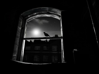 A bird sitting by the window of a moonlit European city. A black and white photo. generative AI