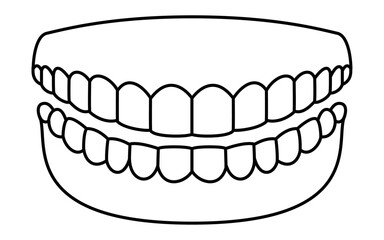 Dental, illustration of image of healthy and clean teeth, 14 upper and lower teeth and gums