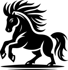 black and white horse