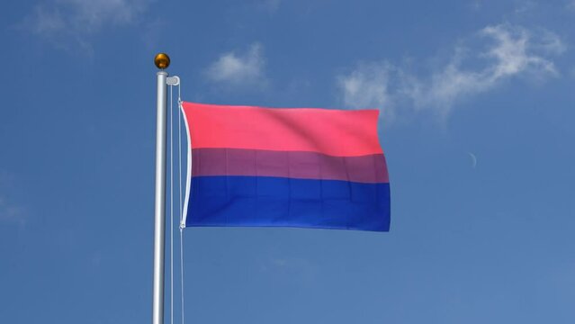 Bi Pride flag flying on a flagpole