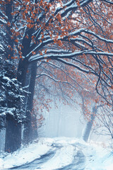 Krajobraz zimowy, mglisty świt (Winter landscape, foggy dawn)