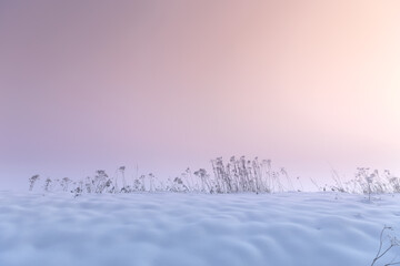 Krajobraz zimowy, różowy mglisty świt (Winter landscape, foggy dawn) - obrazy, fototapety, plakaty