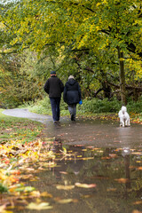 An old couple walking their dog in a public park during autumn season