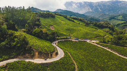 road passing by Munnar  green tea plantations in the mountains of Kerala, India