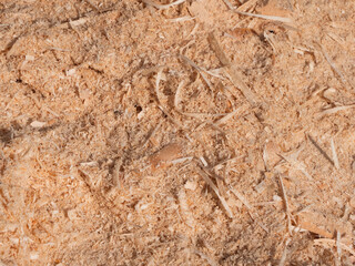 Wood chips background